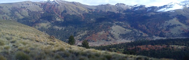 FOTO LONQUIMAY EN OTOÑO