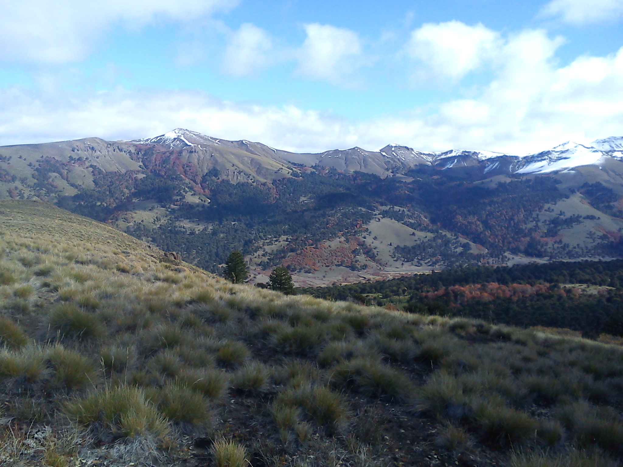 FOTO LONQUIMAY EN OTOÑO